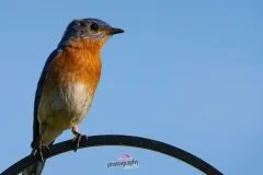 DSC02148-scaled
